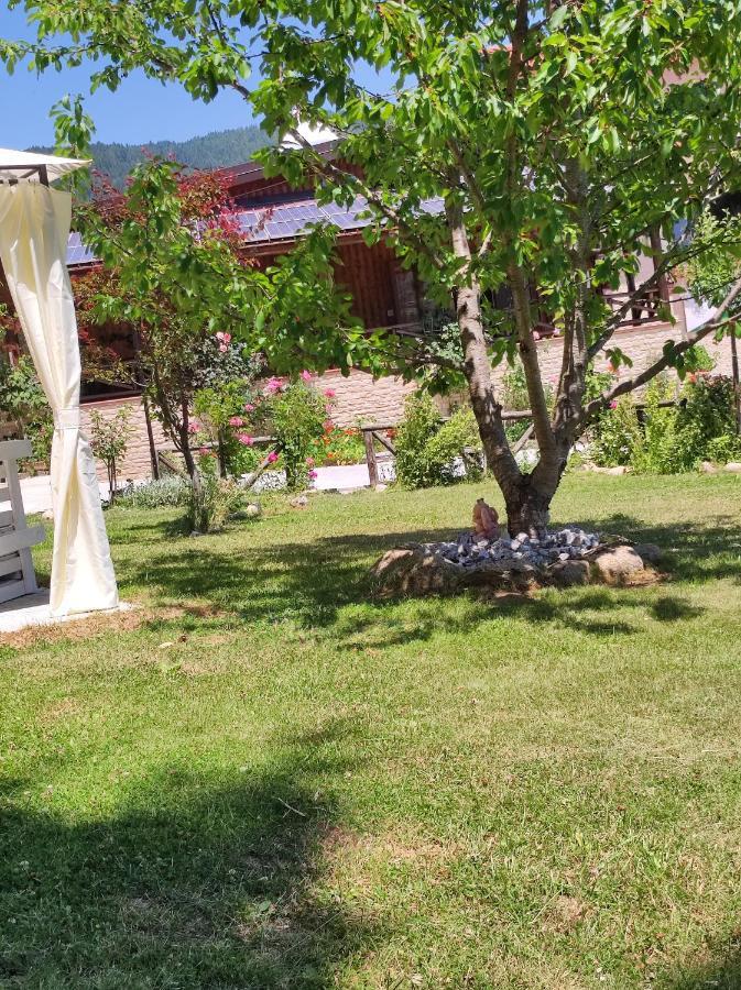 Guest House Caracas 洛里卡 外观 照片
