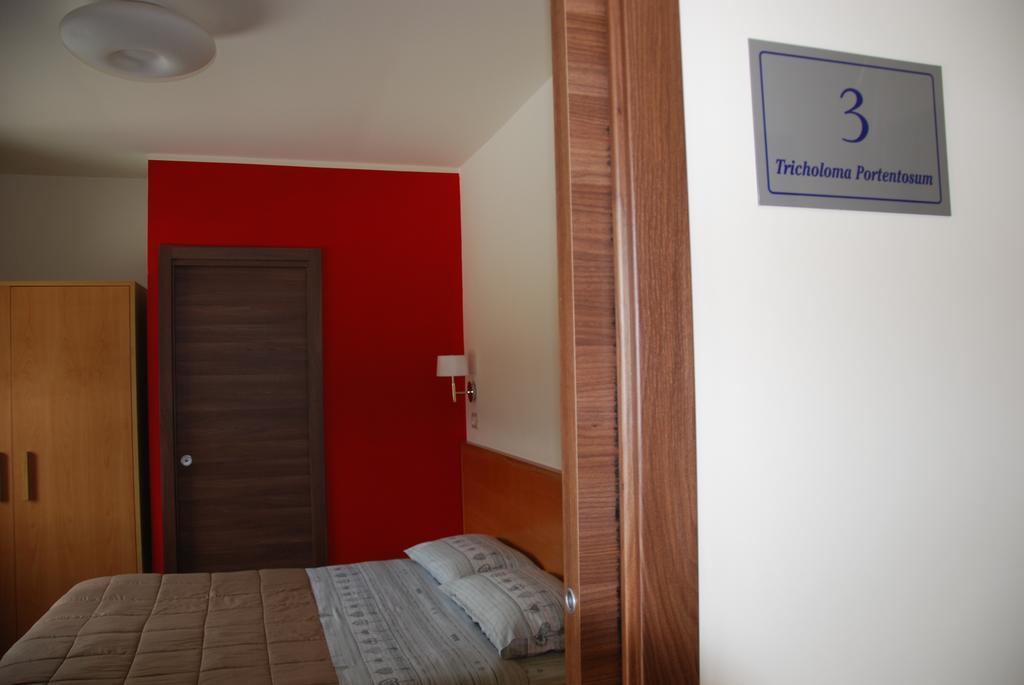 Guest House Caracas 洛里卡 外观 照片